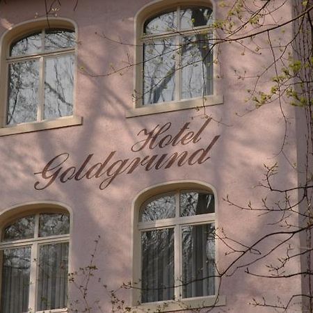 Hotel Goldgrund Meissen Room photo